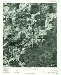 Talladega SW topographic map thumbnail