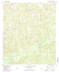 Walker Springs 1978 topographic map thumbnail