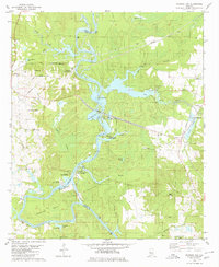 Warrior Dam 1980 topographic map thumbnail