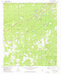 Woodstock 1980 topographic map thumbnail