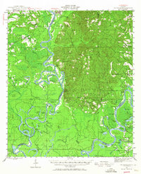 Choctaw Bluff 1943 topographic map thumbnail