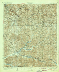Cottondale 1934 topographic map preview