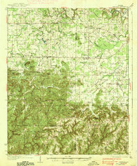 Danville 1938 topographic map thumbnail