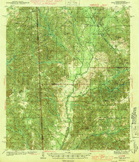 Deer Park 1943 topographic map thumbnail