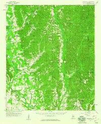 Summerfield 1959 topographic map thumbnail