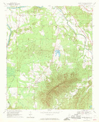 Weisner Mountain 1967 topographic map thumbnail