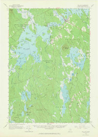 Big Lake 1963 topographic map thumbnail