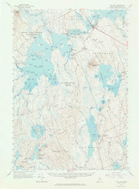Big Lake 1963 topographic map thumbnail