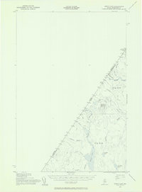 Depot Lake 1955 topographic map thumbnail