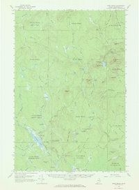 Howe Brook topographic map thumbnail