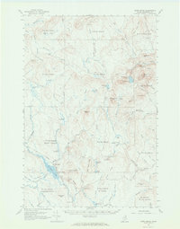 Howe Brook 1965 topographic map thumbnail