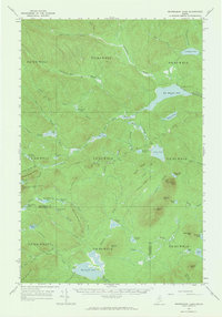 Mooseleuk Lake 1963 topographic map thumbnail