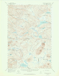 Mooseleuk Lake 1963 topographic map thumbnail