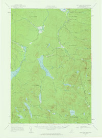 Saint John Pond topographic map thumbnail