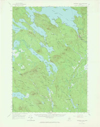Wabassus Lake topographic map thumbnail