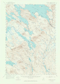 Wabassus Lake 1963 topographic map thumbnail