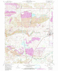 Carrier Mills 1961 topographic map thumbnail