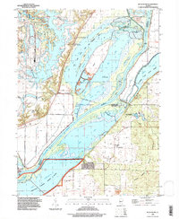 Duck Island 1996 topographic map thumbnail