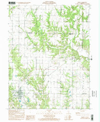Ramsey 1998 topographic map thumbnail