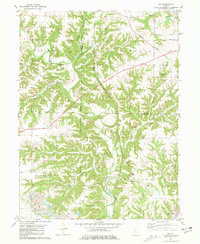 Ray 1981 topographic map thumbnail