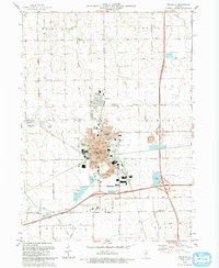 Rochelle 1993 topographic map thumbnail