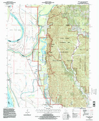 Wolf Lake 1994 topographic map thumbnail