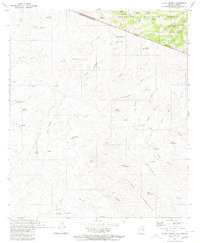 Alamo Spring 1980 topographic map thumbnail