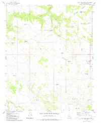Anvil Rock Ranch 1980 topographic map preview