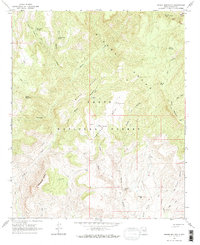 Armer Mountain 1964 topographic map thumbnail