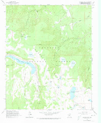 Ashurst Lake 1962 topographic map thumbnail