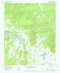 Ashurst Lake 1962 topographic map thumbnail