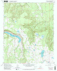 Ashurst Lake 1962 topographic map thumbnail