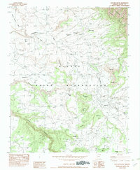Bad Bug Butte 1982 topographic map thumbnail