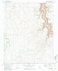 Baldy Basin 1981 topographic map thumbnail