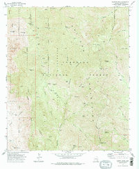Bassett Peak 1972 topographic map thumbnail