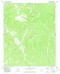 Bear Ridge 1977 topographic map preview