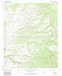 Bee Canyon 1967 topographic map thumbnail
