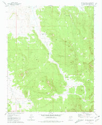 Big Bud Tank 1981 topographic map thumbnail