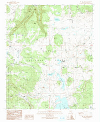 Big Lake North 1991 topographic map thumbnail