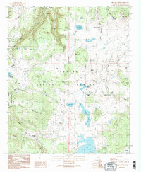 Big Lake North 1991 topographic map thumbnail