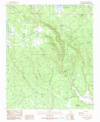 Big Lake South 1991 topographic map thumbnail