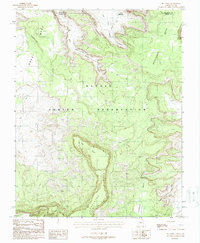Big Point 1988 topographic map thumbnail