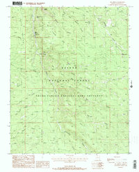 Big Springs 1988 topographic map thumbnail