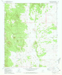 Bishop Lake 1981 topographic map thumbnail