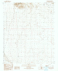 Black Peak 1990 topographic map thumbnail