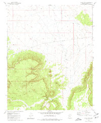 Black Tank 1980 topographic map thumbnail