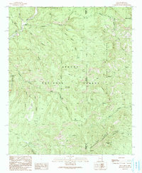 Blue 1991 topographic map thumbnail