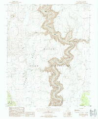 Blue Spring 1988 topographic map thumbnail