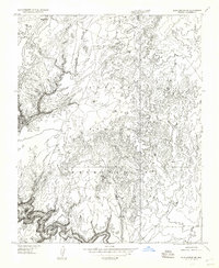 Blue Spring NE topographic map thumbnail