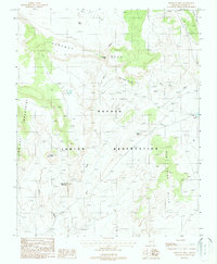 Bodaway Mesa 1988 topographic map preview